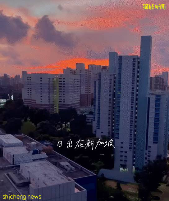 全程直播!去了趟商場,我在新加坡被叫去隔離