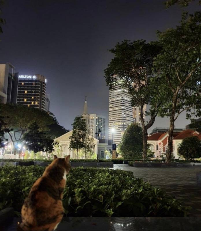 亞洲頂級財經大學 新加坡管理大學SMU碩士課程,普通人有機會申請嗎