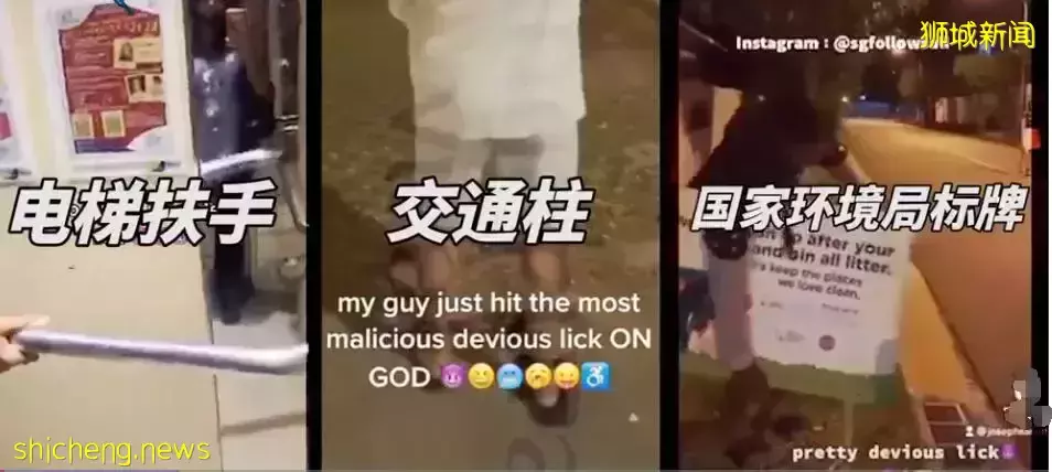 TikTok新加坡遭遇“中毒風”，學生瘋玩如“中毒”