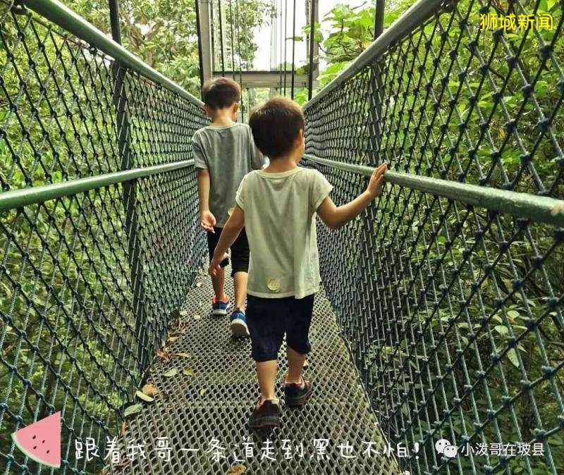 新加坡小一报名,记录一个PR的孩子求学之路