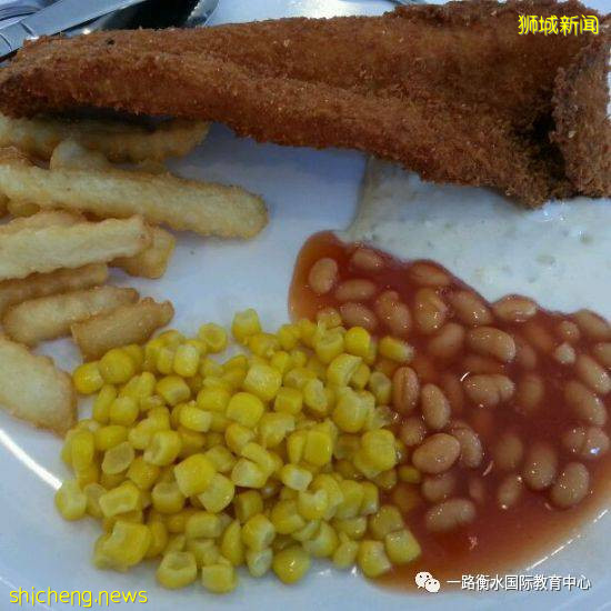 新加坡国立大学的膳食美味适您的口味吗