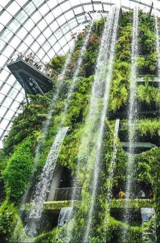 新加坡留學 收藏!新加坡留學福利大盤點,據說女生更適合這裏