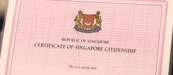 新加坡最新人口報告出爐！去年，公民和PR獲批人數驟減！15萬人離開了