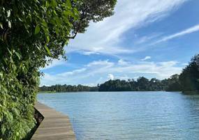 【新加坡留学】不是你不够努力 而是你选择了不同的教育路径