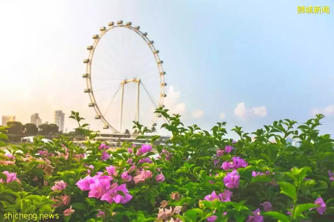 魅力獅城 上榜全球最健康城市的秘密
