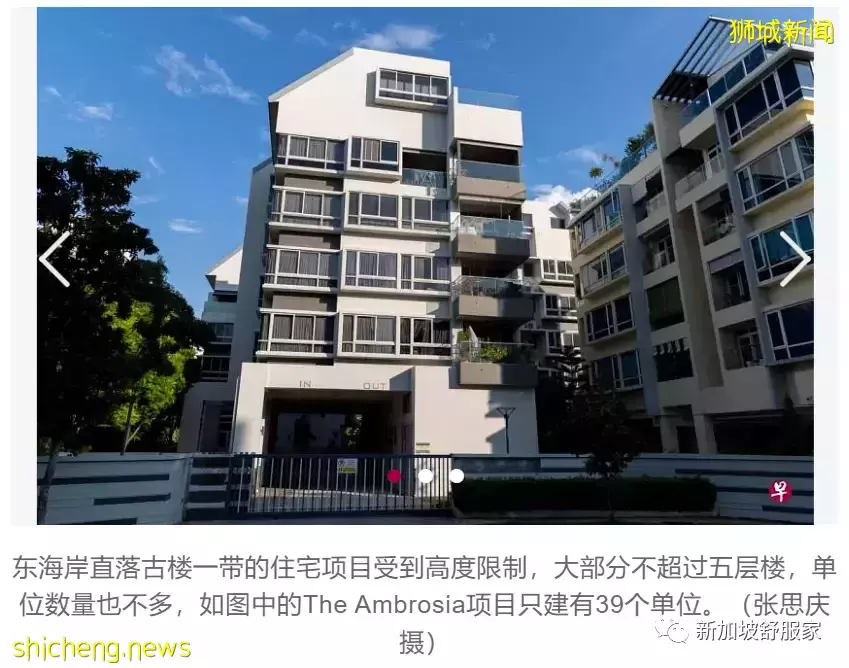 新加坡別墅區低樓層(low rise condo)小型公寓備受年輕買家青睐