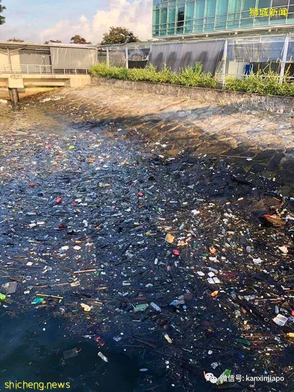 骇人!新加坡滨海码头成了露天垃圾场