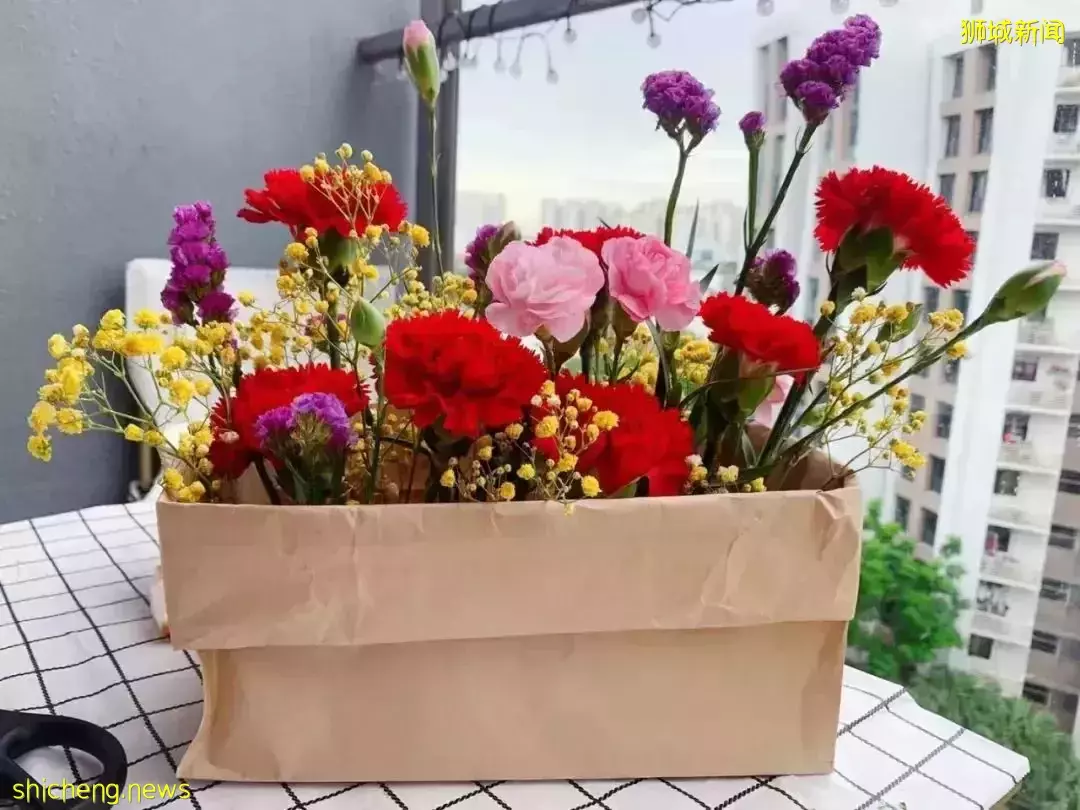 初到新加坡，怎樣快速融入本地，交到一起遛娃的朋友