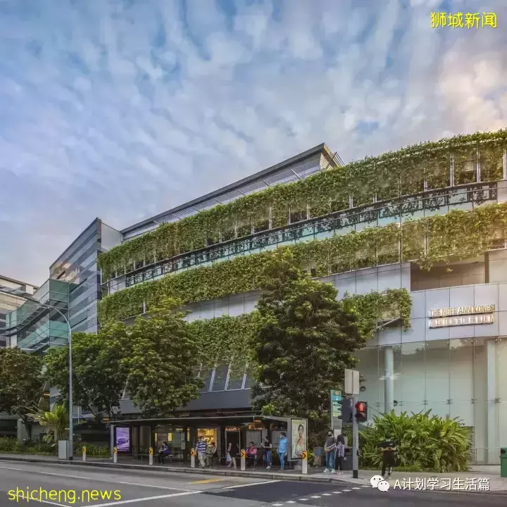 新加坡管理大学设首个综合学科学院 ,学生可灵活设计主修科目