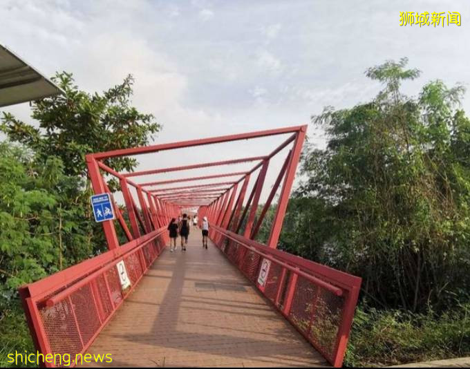 當騎行遇上新加坡,體驗獅城的無限魅力