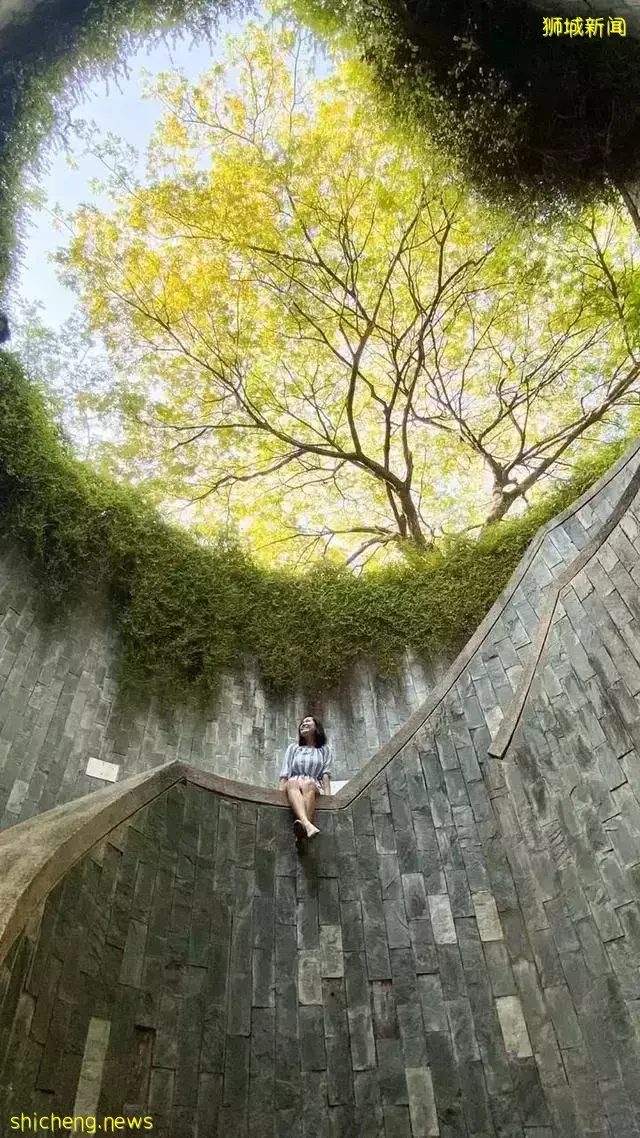 告別“塑料遊樂場”，看新加坡的公園如何诠釋“高大上”