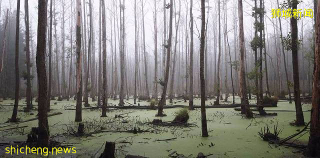 最全新加坡綠線地鐵站名字來由，你知道多少!
