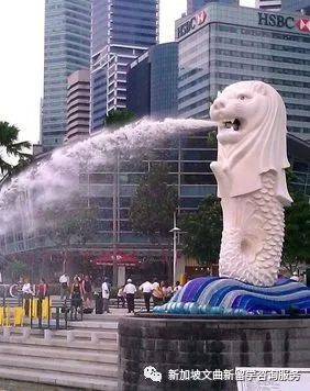 解鎖新加坡冷知識,99%的人都不知道