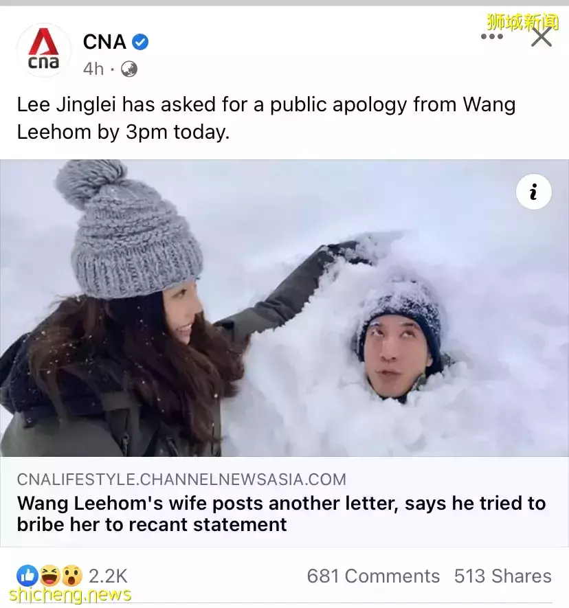 最新！李靓蕾曝光王力宏簡訊，送4億豪宅當封口費！徐若瑄：沒有對不起新加坡老公