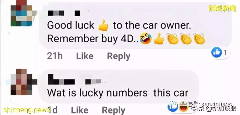 奇葩!新加坡孔雀和黑色轿车“打架”,原来是这个原因