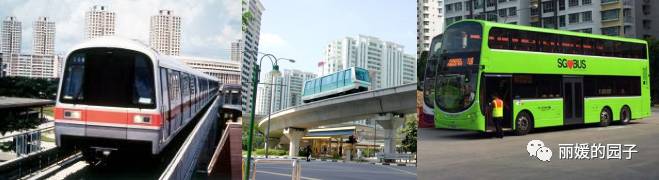新加坡地面公交系统的精细化运营管理