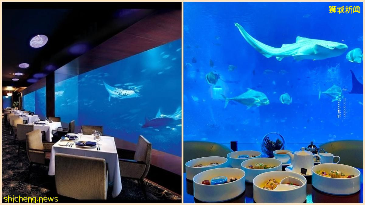 一起去圣淘沙海底喝下午茶, 现在只要 $58+ 还包括6种甜点