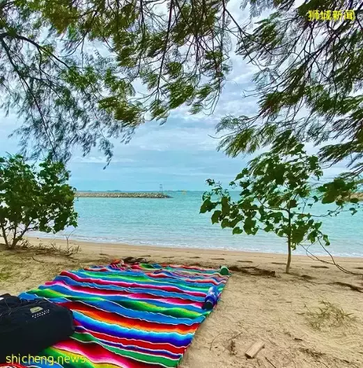 玩在狮城 长假去哪玩?浮潜、野餐、徒步!这些小众海岛等你来一一探索