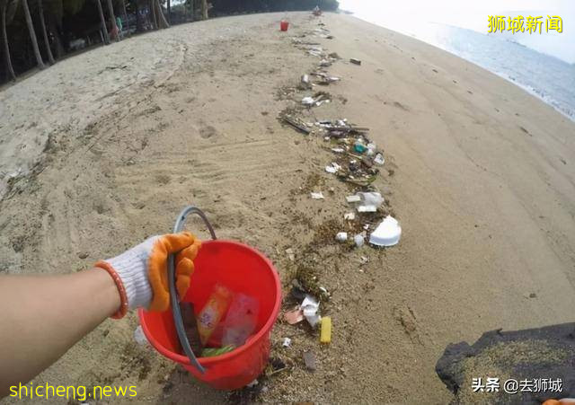 掉根头发都能犯法，保护环境新加坡设无数奇葩法律