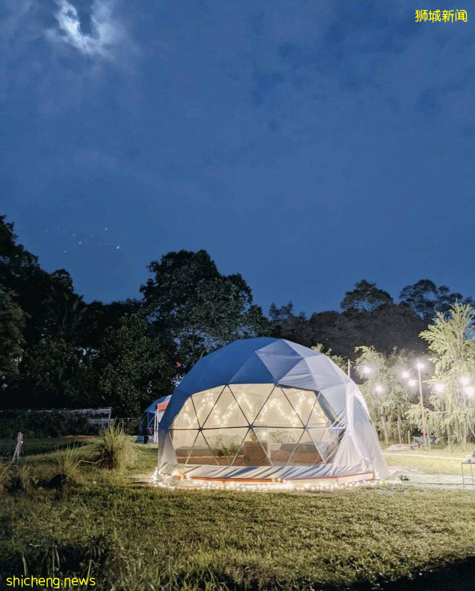 轻松露营新选择,科幻感超美圆顶帐篷@Yishun,拎包入住不是梦