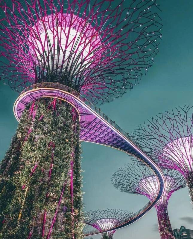 “2019年，他们都走了！我在新加坡经历了生4...”