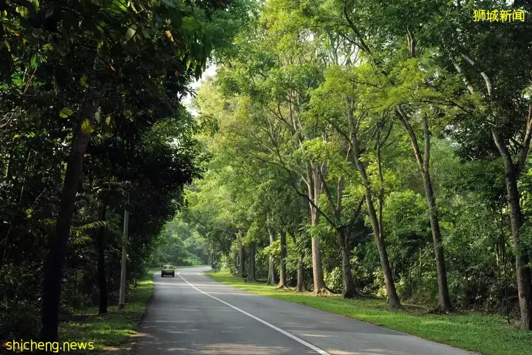 新規劃官宣！跨海長島、混合城市、地下城……未來的新加坡也太科幻了吧