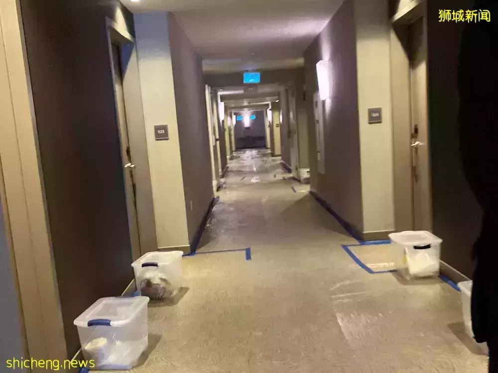 最新!曝奧密克戎更“人性化”、含感冒病毒、在新加坡或可1傳5