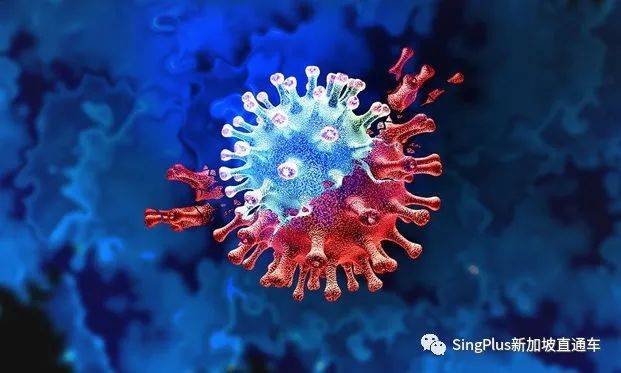 警惕！這個突變株致死率高了55%！新加坡已出現至少25例病例