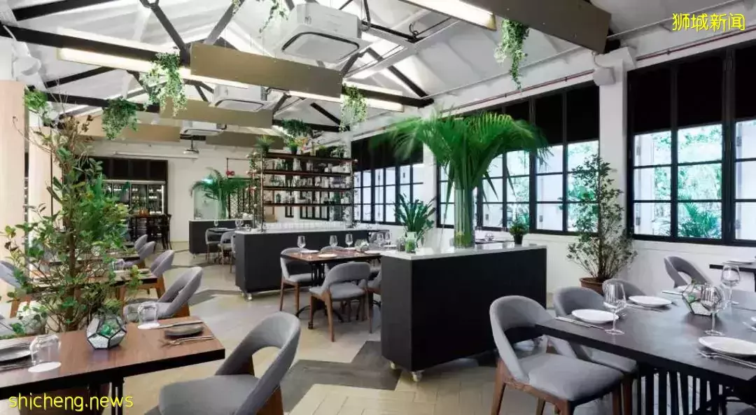 新加坡15间绝美植物主题餐厅,打卡喧嚣闹市里的绿野仙踪