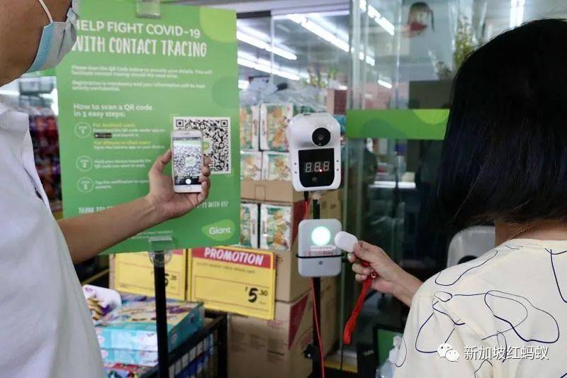 新加坡手上有好牌，逐步和低风险地区开展“泡泡”其实没那么可怕