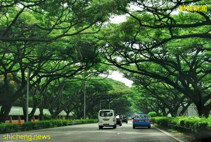 新加坡是怎样一步步成为“花园城市”的!