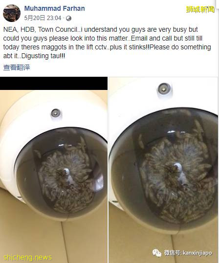 慎点，新加坡乘电梯抬头看竟爬满蛆虫，真相原来是