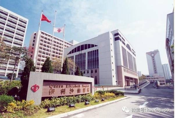 新加坡未来出现类似死亡个案应在意料之中