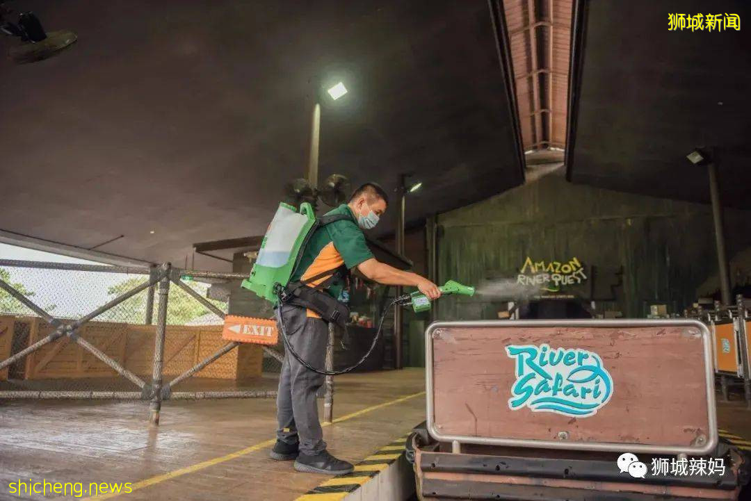 僅2天！新加坡動物園最牛的餵動物之旅，8折！還有幻光雨林和4大園5.5折起，搶啦