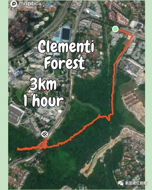 新加坡隐藏版秘境 绝美的金文泰森林