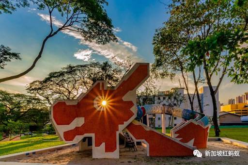 新加坡人镜头下“家的形状”是什么? 答案就在2500多张照片里