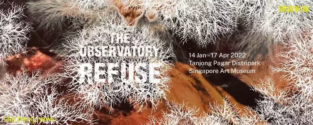 【周末去哪】$158新航往返机票!LV免费展、鸟园露营、$15高尔夫