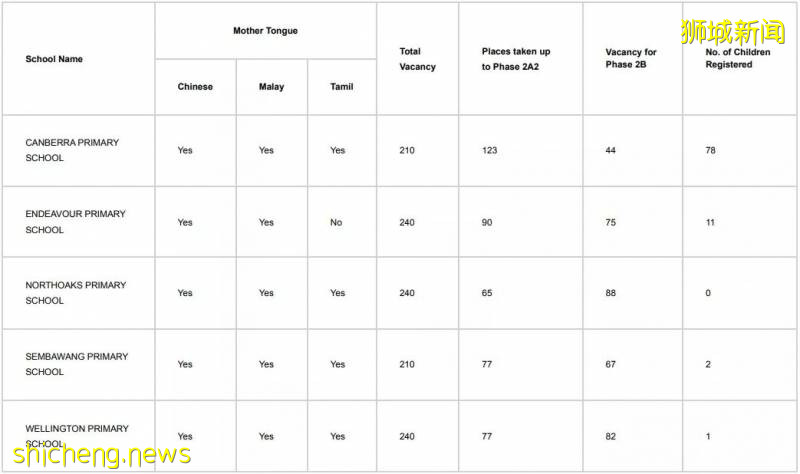 【留學資訊】新加坡幼升小很激烈，留給國際生到底有多少呢！（有點長有需要的話耐心看完）!