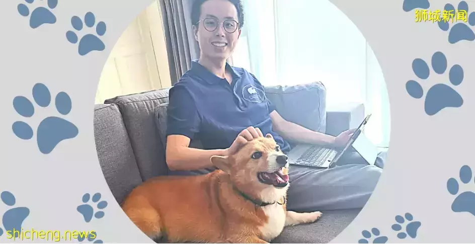 最新研究：與動物一起工作可增強員工同情心