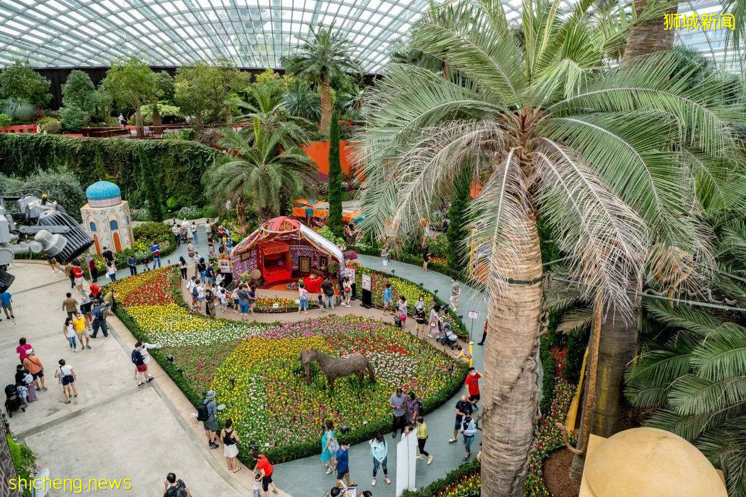 新加坡滨海湾花园郁金香花展绚丽登场!带你穿越到哈萨克!去游牧,去流浪