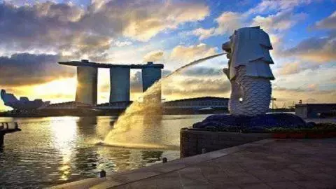 新加坡留學的熱門專業有哪些