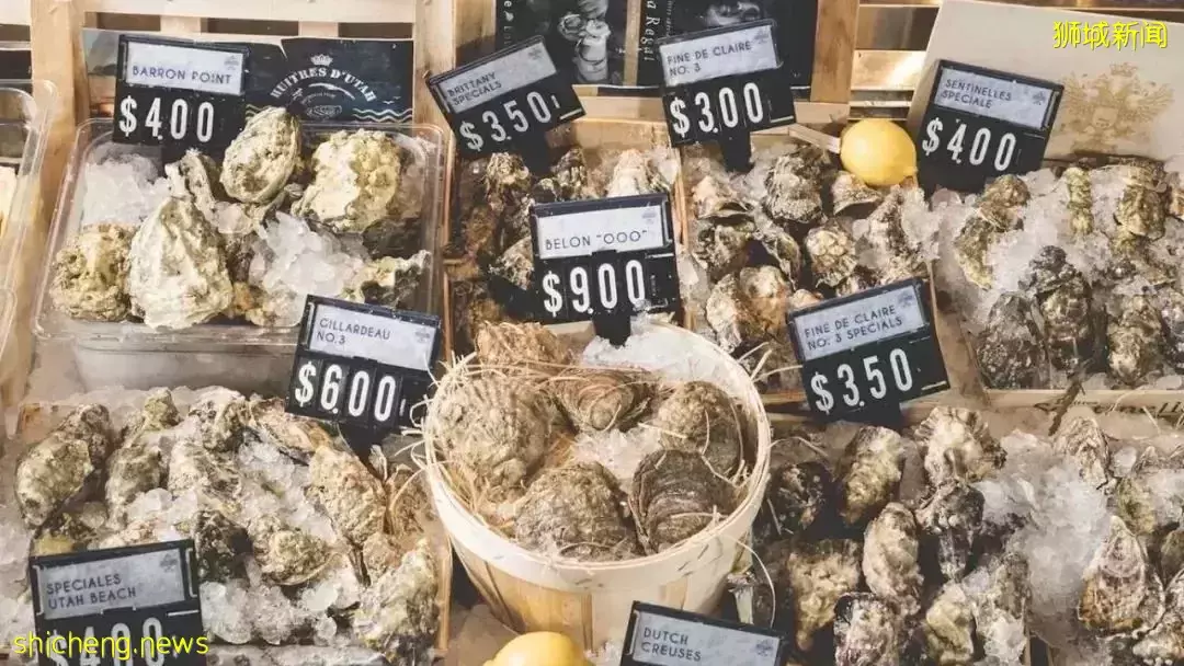 $1鴨飯！郵輪半價！宜家大促！金沙自助買1送1！免費露天音樂會