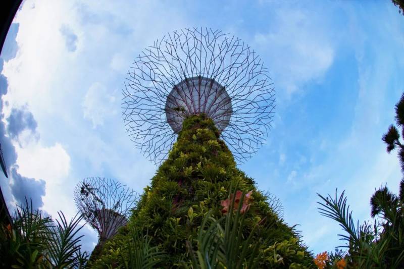 Crazy Rich Asians 摘金奇緣