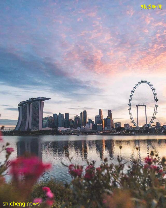 新加坡 在風景如畫的新加坡讀大學，體驗不一樣的魅力