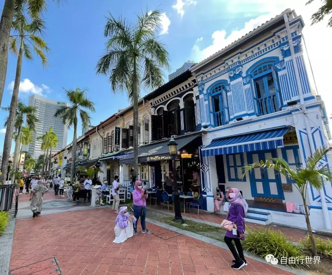 新加坡居然也有皇宫? 多元新加坡之甘榜格南