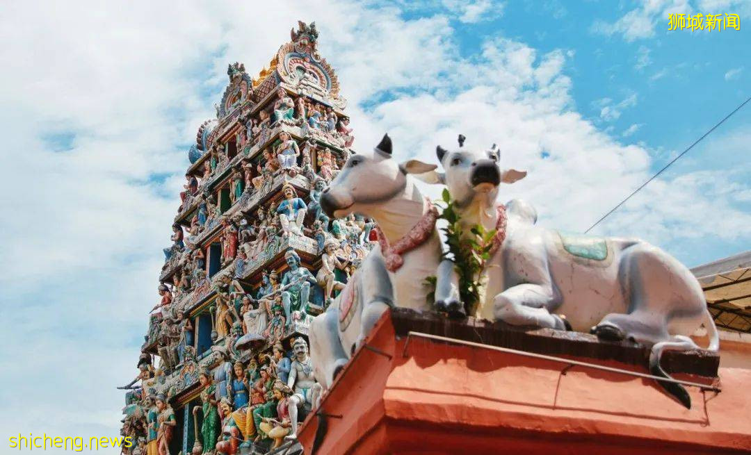 魅力獅城，不容錯過的十大獨特體驗