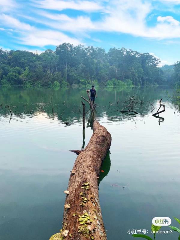 Chestnut Nature Park城市裏的世外桃園🌸 天空之境獨木橋、越野騎行、徒步放松好去處