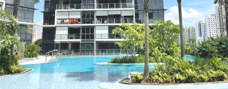 明明同在新加坡留学,我租的房永远不如她的好