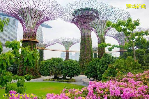 新加坡是哪裏?帶你快速了解新加坡