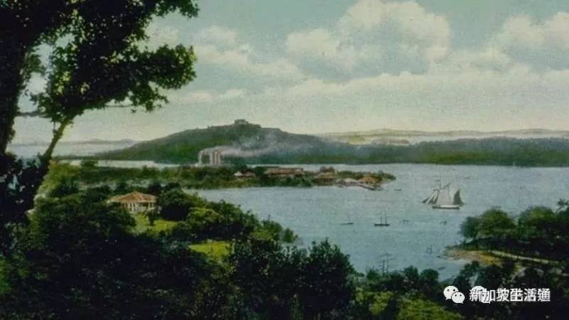 “弹丸之地”如何跻身世界前列？带你认识多元文化的新加坡